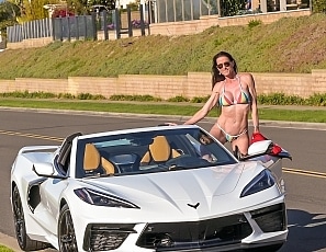 SofieMarieXXX/WW Multi Reckless Corvette